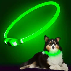 Dog luminous collar rechargeable size medium-sized dog adjustable anti-night anti-lost collar comfortable anti-bite large dog