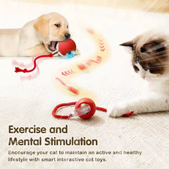 Pet Automatic Rolling Ball Interactive Ball Cat Toy Electric Cat Dog Training Imitation Mouse Rechargeable Product