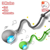Pet Automatic Rolling Ball Interactive Ball Cat Toy Electric Cat Dog Training Imitation Mouse Rechargeable Product