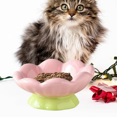 Pet Bowl Elevated Dog Cat Bowl with Non Slip Stand Ceramic Tulip Shape Raised Food Feeding Feeder for Small Medium Kiitten Pet