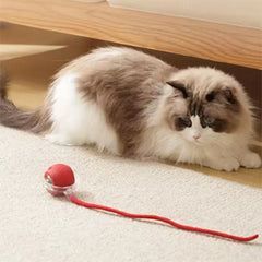 Pet Automatic Rolling Ball Interactive Ball Cat Toy Electric Cat Dog Training Imitation Mouse Rechargeable Product