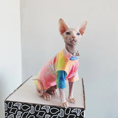 Hairless Cat Clothes, Breathable T-Shirt, Pet Clothes, Sphinx, Rainbow, Small Dogs Shirt, Clothing for Cats