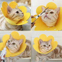 Pet Protective Collar Cat Dogs Health Medical Circle Dog Neck Cone Recovery Cone Collar for Anti-Bite Lick Surgery Wound Healing