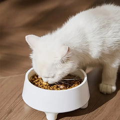 Elevated Dog Cat Bowl Stainless steel Food Water Bowls Raised No Spill Pet Feeder bowl for Puppy Small Medium Large Dogs Cats