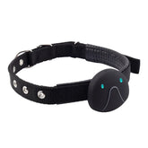 4G SIM Card Pet Tracker Real Time Pet Cat Dog GPS Tracking Collars Smart Pet Activity Monitor Tracking Device