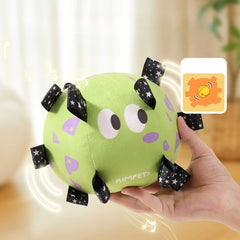 New Dog Football Toy Dog Tour Training Toy Ball Built in Bell Plush Voice Machine Washable Pet Ball ProductsCat and DogUniversal