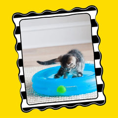 Crazy Circle Cat Toy Interactive Fun Exercise Boredom Buster Reloadable Catnip Ball Durable Lightweight Design Portable Washable