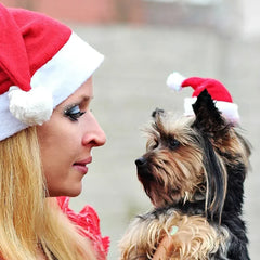 Christmas Pet Hat Santa Claus Hat for Cats Dogs Puppy Xmas Decoration New Year Party Supplies Pet Costume