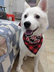 Christmas Pet Bandanas Triangle Scarf Reversible Towel for Pets Bandana for Pet Costume Accessories Christmas Party Supplies