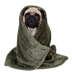 New Soft Pet Blanket Spring Warm Dog Bed Blanket Cute Pet Sheets Warm Mat Comfortable Cat Dog Pad Blanket Pet Accessories