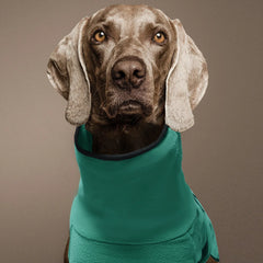 Clothes For Large Dogs Winter Warm Big Dog Vest Jacket Pet Dogs Coat Greyhound Doberman Clothes For Medium Large Dogs