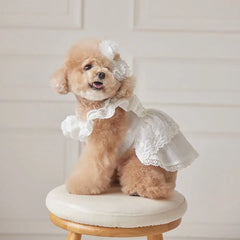 Casual Cotton+Lace Pet Flying Sleeve Skirt Breathable XS~XL Cat Top White Pet Princess Dress Cat Dog