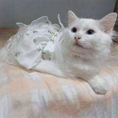 Pet Traction Skirt Lace Cat Dress Princess Dresses Outfit Puppy Clothes Pets Dog Clothing for Wedding Birthday Party Cat Apparel