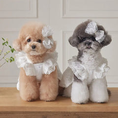 Casual Cotton+Lace Pet Flying Sleeve Skirt Breathable XS~XL Cat Top White Pet Princess Dress Cat Dog
