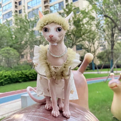 Floral Lace Cotton Dress Hair Band Suit for Sphyinx Cat Summer Green Suspended Princess Skirt For Female Cats Vest for Kittens