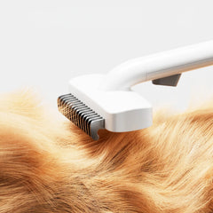 Efficient Pet Hair Removal Brush Designed For Cats Dogs The Stainless Steel Teeth Gently Remove Loose Hair Suitable For Any Pets