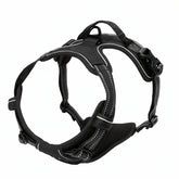 German Oak Cooling Dog Set - Escape Proof Harness Vest & Leather Collar with Anti-Chafe, Breathable for Large Dogs