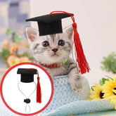 2 Pcs Elastic Doctorial Hat Gift Creative Doctoral Caps Top Graduation Dog Dr Multi-purpose Felt Cloth Pet Supply Puppy Man