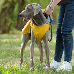 Dog Raincoat Rain Jacket with Reflective Harness and Removable Clear Hood Breathable Dogs Rain Coat Lightweight for Larrge Dogs
