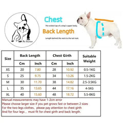 Dog Clothes Coat Accessories Small Dogs Luxury For Animal Winter Medium Dresses Soft Pet Clothing Designer Chihuahua Cute