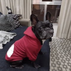 Pet Clothing Warm Autumn and Winter Hooded Sweater The Dog Face Gold Fur Big Dog Clothing Large Dog Clothing