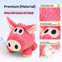 HOOPET Plush Squeaky Dog Toys with Crackling Paper Sound, Chew Resistant Soft Puppy Chew Toys for Boredom Relief
