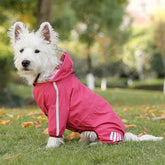 Storm Reflective Trim Dog Raincoat - Windproof & Waterproof Outdoor Adventure Jacket for Small/Medium Dogs Dog Clothes