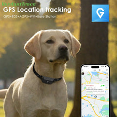 IP67 Waterproof Mini 4G GPS Animal Tracker Collar Anti-Lost Real Time Tracking Dog Cat Locator Pet Dog Cat Fashion Neck Collar