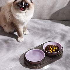 1PC Cat Bowl Double Bowl Plastic Candy Color Oblique Mouth To Protect The Cervical Vertebrae And Prevent Tipping Cat Food Bowl C
