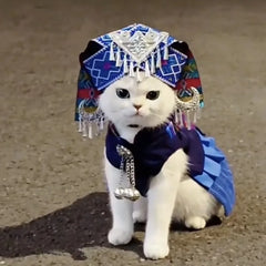 Ethnic Cat Clothing - Traditional Style Autumn Winter Warm Outfit, Cute Christmas Costume for Kittens with Cultural Design