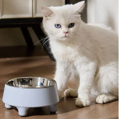 Elevated Dog Cat Bowl Stainless steel Food Water Bowls Raised No Spill Pet Feeder bowl for Puppy Small Medium Large Dogs Cats