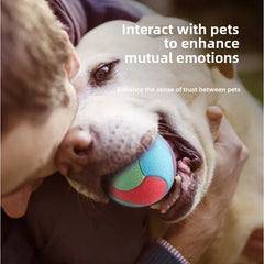 Bouncy Ball Toys Pet Dog Toys Bite Resistant for Small Medium Dogs Tooth Cleaning Ball Dog Chew Toys Pet Training Products