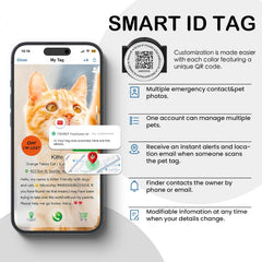 AirTag Cat Collar Breakaway with Bells, Glow Anti-Lost Kitten Collar with Airtag Holder for Apple Tag, with Pet QR Code Name Tag