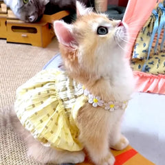 Cat Clothes Daisy Flower Gauze Tutu Dog Dress Vest Apparel Skirt Clothes Pet Puppy Birthday Princess Clothes for Cats
