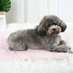 Soft Warm Pet Sleeping Mat Flannel Dog Cat Bed Puppy Bed Dog Sofa Mattress Cushion for Small Medium Dogs Blanket Pet Supplies