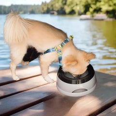 Portable Plastic Pet Dog Bowls No Spill Floating Design Non-Slip Cat Bowl Water Feeder Dry Mouth Support Pet Accessories