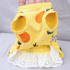 Summer Cat Small Dogs Clothes Skirt Cotton Cozy Pet Dresses Clothing for Cats Cute Print Kitten Princess Dress ropa para gatos