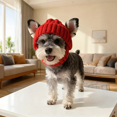Maltese Dog Beanie Hat, Cozy Soft Knit with Ear Flaps, Cute Playful Dog Design, for Small Dogs, Red & Winter, Indoor/Outdoor Use