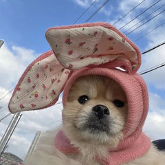 Dog Hat Autumn Winter Windproof Warmth Cover Cute Rabbit Ears Knitted Pet Cap Pink Ins Dogs Headwear New Kitten Puppy Earmuffs