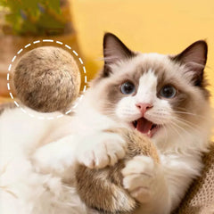 Cat toy rabbit fur ball real rabbit fur playful cat fur ball rich and pleasant pet scent sniffing cat rabbit fur ball toys