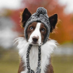 Winter Pet Dog Knitted Hat Warm Windproof Pet Hats Woolen Fashion Cat Headband Autumn and Winter Fur Ball Warm Windproof Pet Hat