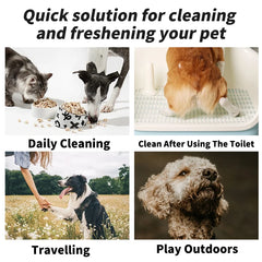 80PCS/pack Pet wipes Disposable Pure water formula Pet care Dog and cat health cleaning Deodorizing wipes Single-use