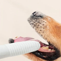 10pcs Soft Pet Finger Toothbrush Finger Sleeve Brushes Remove Tartar Cochlear Clean for Dog Cat Toothbrush Pet Oral Care