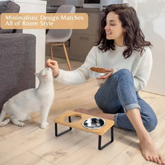 Elevated Slanted Kitten Plate Set of 2 Stainless Steel Plates for Indoor Cats, 2 Bowl Cat Feeder Easy to Assemble