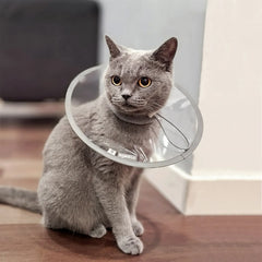 Pet Cat Protective Collar Neck Recovery Cone Collar For Anti-Bite Lick Reusable Cat Dogs Lightweight Circle For Pet Supplies