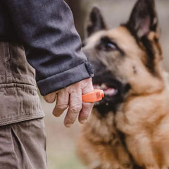 The Ring Rattle Ring Is Suitable For Cats Dogs Rabbits Parrots And Is A Universal Pet Training Equipment And Accessory For Dogs