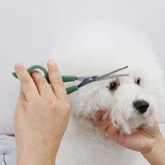 High-quality Grooming Shears Dog Scissors Hair Scissors Cleaning Tools Stainless Steel Pet Removal Dog Wool Trimmer Pet Products