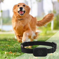 Dog Tracker with Adjustable Collar Smart Pet Locator Cat Tracker for Dogs & Cats