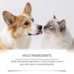 60Pcs/box Pet Cleaning Products Eye Wipes To Remove Tear Marks Cleaning Wet Tissues Cat And Dog Gently Clean Stains Pet Supplies