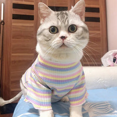Spring Cotton Pet Cat Clothes for Cats Gotas Mascotas Clothing Sweet Stripe Puppy Sphynx Cat Katten Vest Shirt Ubranie Dla Kota